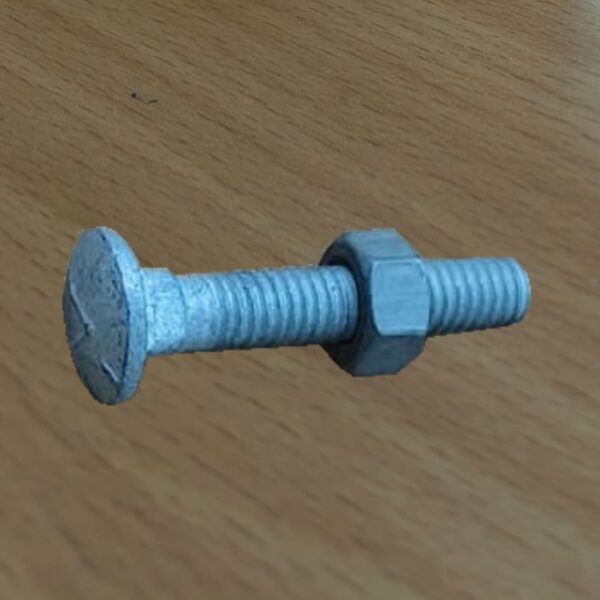 Carriage Bolt and Nut